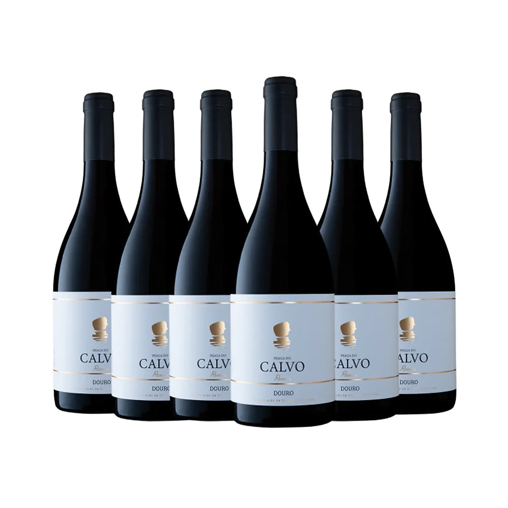 6x Fraga do Calvo Reserva Rotwein